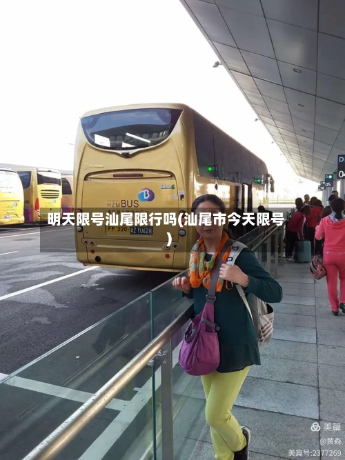 明天限号汕尾限行吗(汕尾市今天限号)