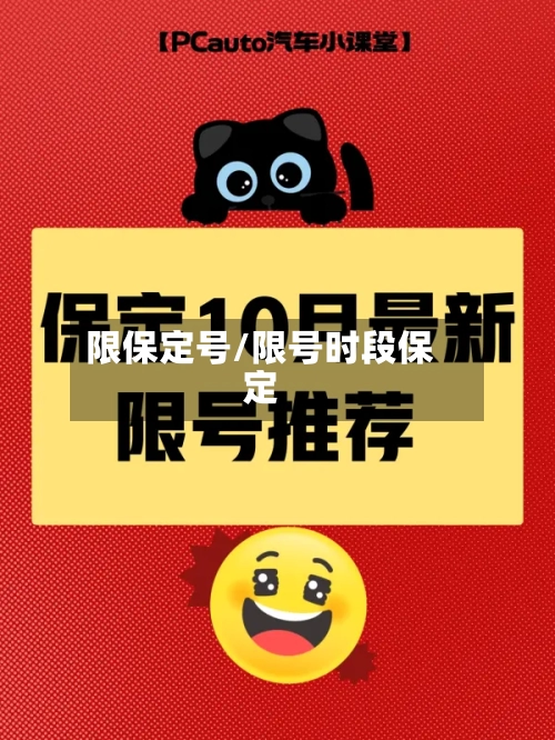 限保定号/限号时段保定