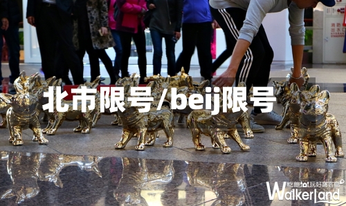 北市限号/beij限号