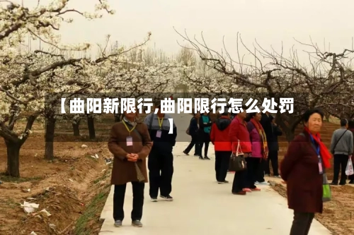 【曲阳新限行,曲阳限行怎么处罚】