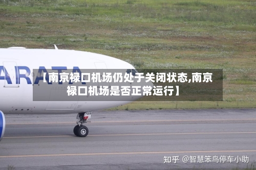 【南京禄口机场仍处于关闭状态,南京禄口机场是否正常运行】-第3张图片