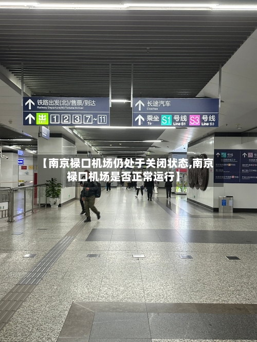【南京禄口机场仍处于关闭状态,南京禄口机场是否正常运行】-第2张图片