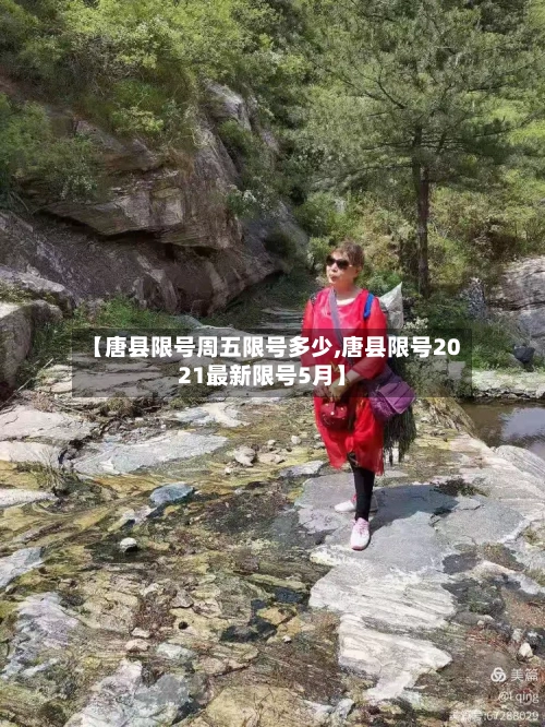 【唐县限号周五限号多少,唐县限号2021最新限号5月】