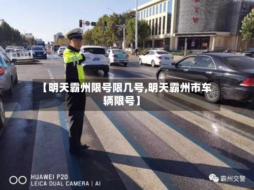 【明天霸州限号限几号,明天霸州市车辆限号】-第3张图片