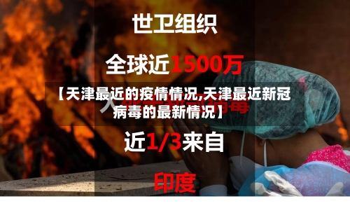 【天津最近的疫情情况,天津最近新冠病毒的最新情况】-第2张图片