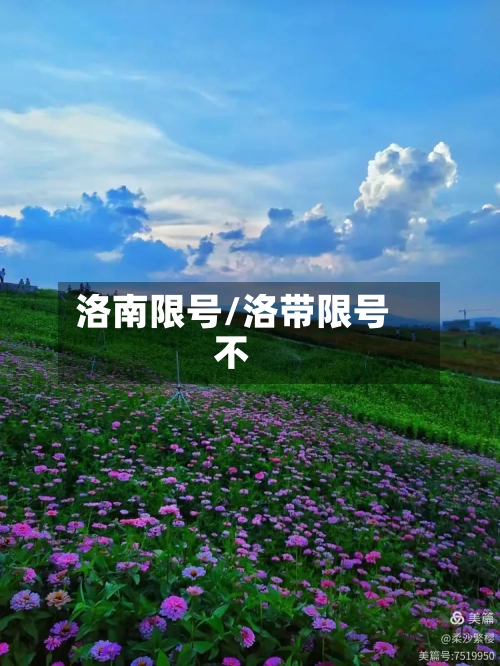 洛南限号/洛带限号不