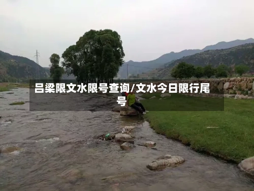 吕梁限文水限号查询/文水今日限行尾号-第3张图片