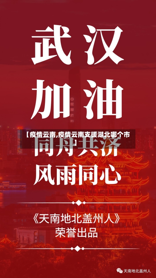 【疫情云南,疫情云南支援湖北哪个市】-第2张图片