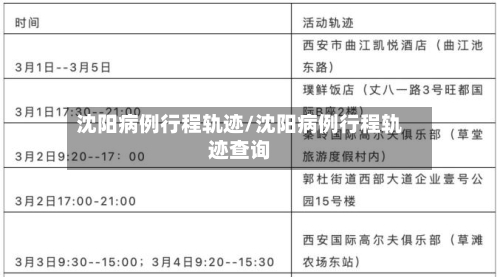沈阳病例行程轨迹/沈阳病例行程轨迹查询-第2张图片