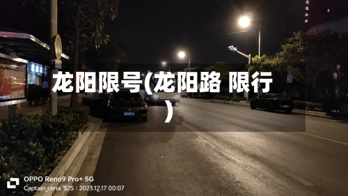 龙阳限号(龙阳路 限行)-第2张图片