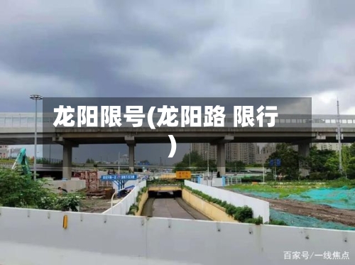 龙阳限号(龙阳路 限行)