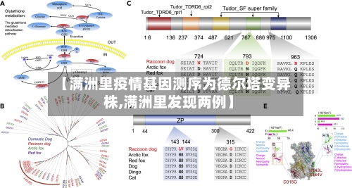 【满洲里疫情基因测序为德尔塔变异株,满洲里发现两例】