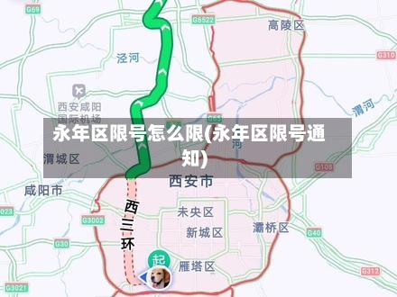 永年区限号怎么限(永年区限号通知)-第3张图片
