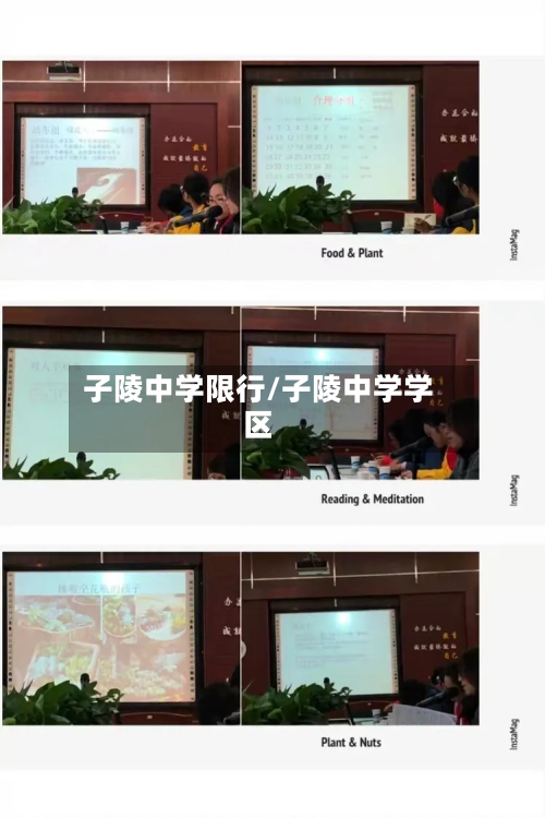 子陵中学限行/子陵中学学区