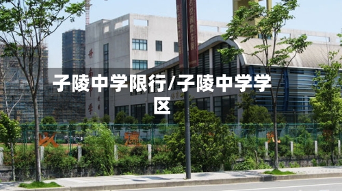 子陵中学限行/子陵中学学区-第3张图片