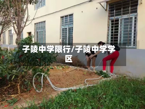 子陵中学限行/子陵中学学区-第2张图片