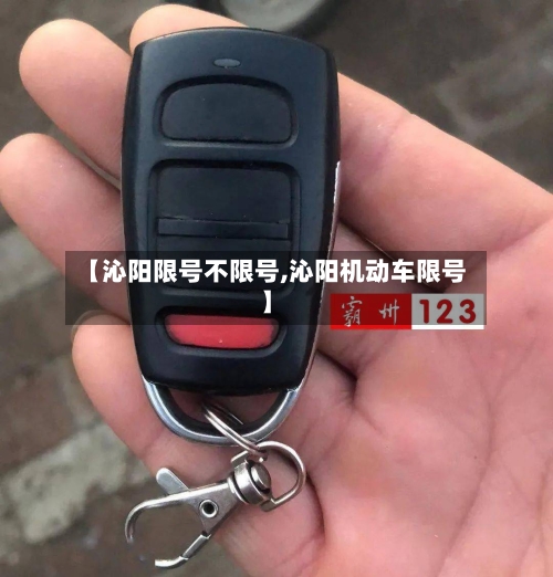 【沁阳限号不限号,沁阳机动车限号】-第2张图片
