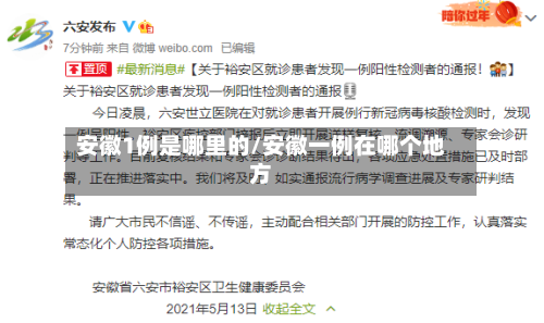 安徽1例是哪里的/安徽一例在哪个地方
