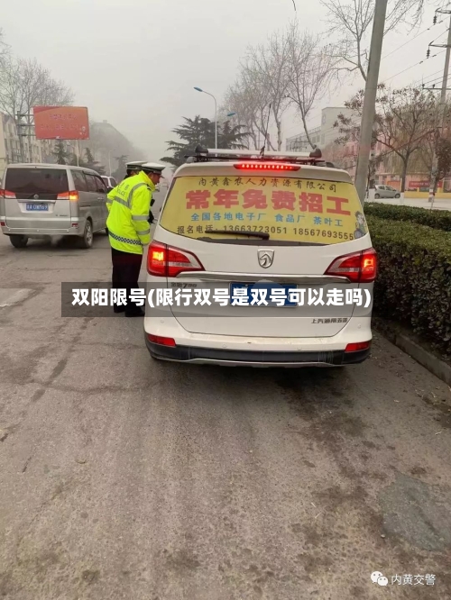 双阳限号(限行双号是双号可以走吗)