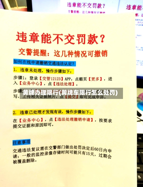 黄牌办理限行(黄牌车限行怎么处罚)
