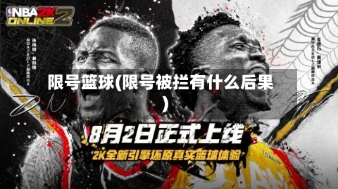 限号篮球(限号被拦有什么后果)-第3张图片