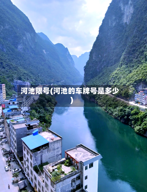 河池限号(河池的车牌号是多少)