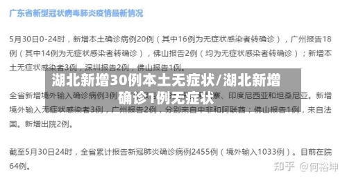 湖北新增30例本土无症状/湖北新增确诊1例无症状-第2张图片