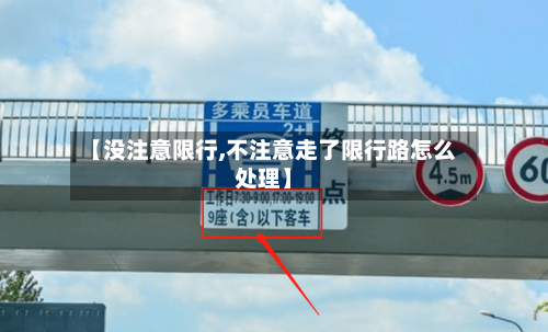 【没注意限行,不注意走了限行路怎么处理】-第3张图片