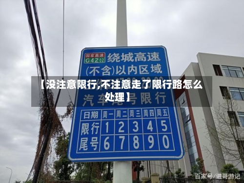 【没注意限行,不注意走了限行路怎么处理】