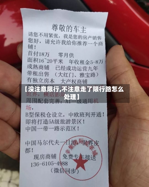 【没注意限行,不注意走了限行路怎么处理】-第2张图片
