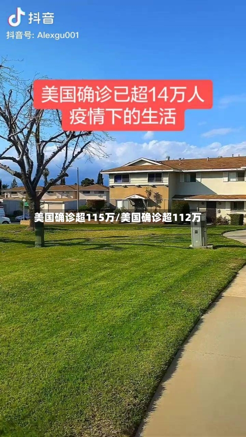 美国确诊超115万/美国确诊超112万-第2张图片