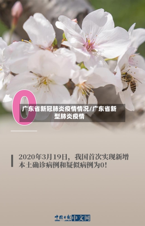 广东省新冠肺炎疫情情况/广东省新型肺炎疫情