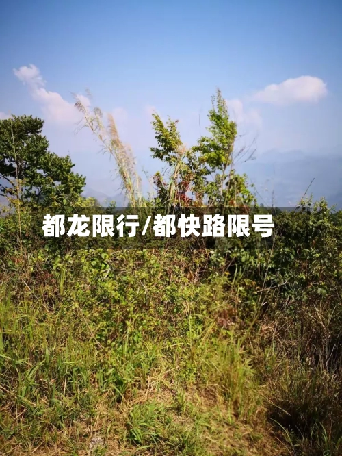 都龙限行/都快路限号