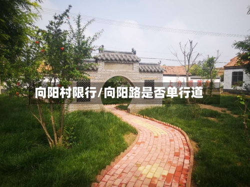 向阳村限行/向阳路是否单行道
