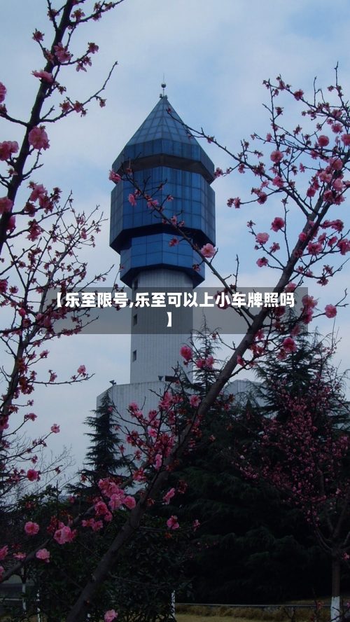 【乐至限号,乐至可以上小车牌照吗】-第2张图片