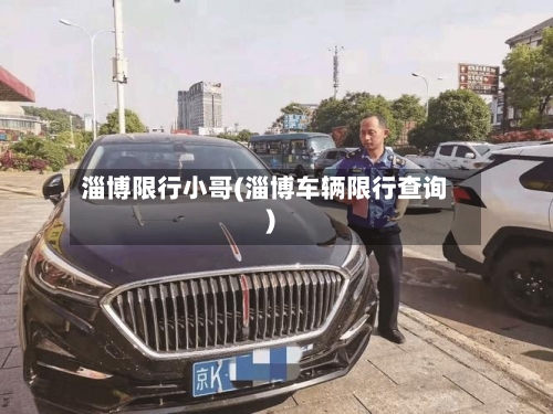 淄博限行小哥(淄博车辆限行查询)-第2张图片