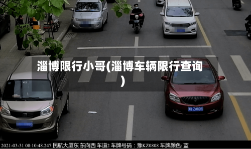 淄博限行小哥(淄博车辆限行查询)-第3张图片