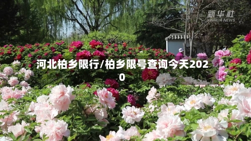 河北柏乡限行/柏乡限号查询今天2020-第2张图片