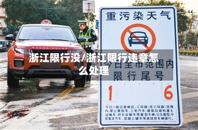 浙江限行没/浙江限行违章怎么处理-第2张图片