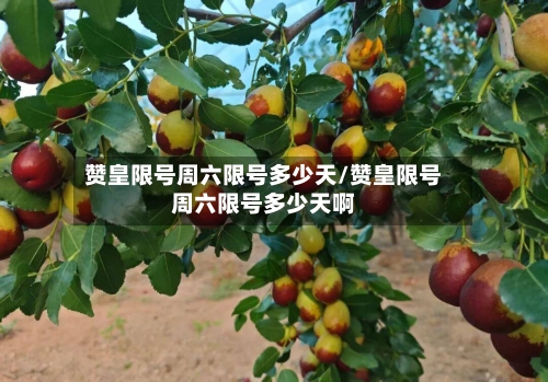 赞皇限号周六限号多少天/赞皇限号周六限号多少天啊-第3张图片