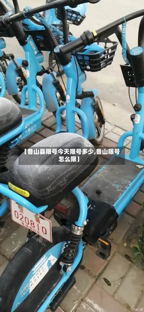 【鲁山县限号今天限号多少,鲁山限号怎么限】-第2张图片