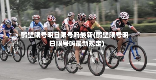 鹤壁限号明日限号吗最新(鹤壁限号明日限号吗最新规定)-第3张图片