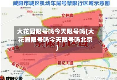 大花园限号吗今天限号吗(大花园限号吗今天限号吗北京)-第3张图片