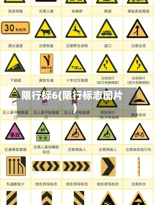 限行标6(限行标志图片)
