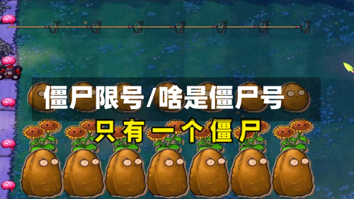 僵尸限号/啥是僵尸号