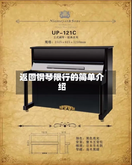 返回钢琴限行的简单介绍