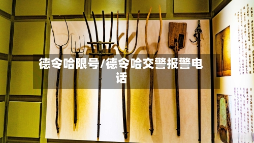 德令哈限号/德令哈交警报警电话-第2张图片