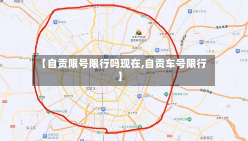 【自贡限号限行吗现在,自贡车号限行】-第2张图片