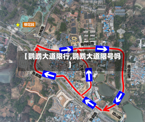 【鹦鹉大道限行,鹦鹉大道限号吗】-第2张图片