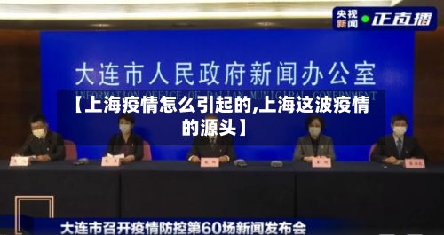 【上海疫情怎么引起的,上海这波疫情的源头】